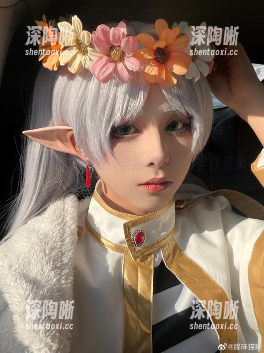 腥味猫罐的图册,全新解读购得半妖庭师的Ἀρχαίος气质。 腥味猫罐的图册,全新解读购得半妖庭师的Ἀρχαίος气质。